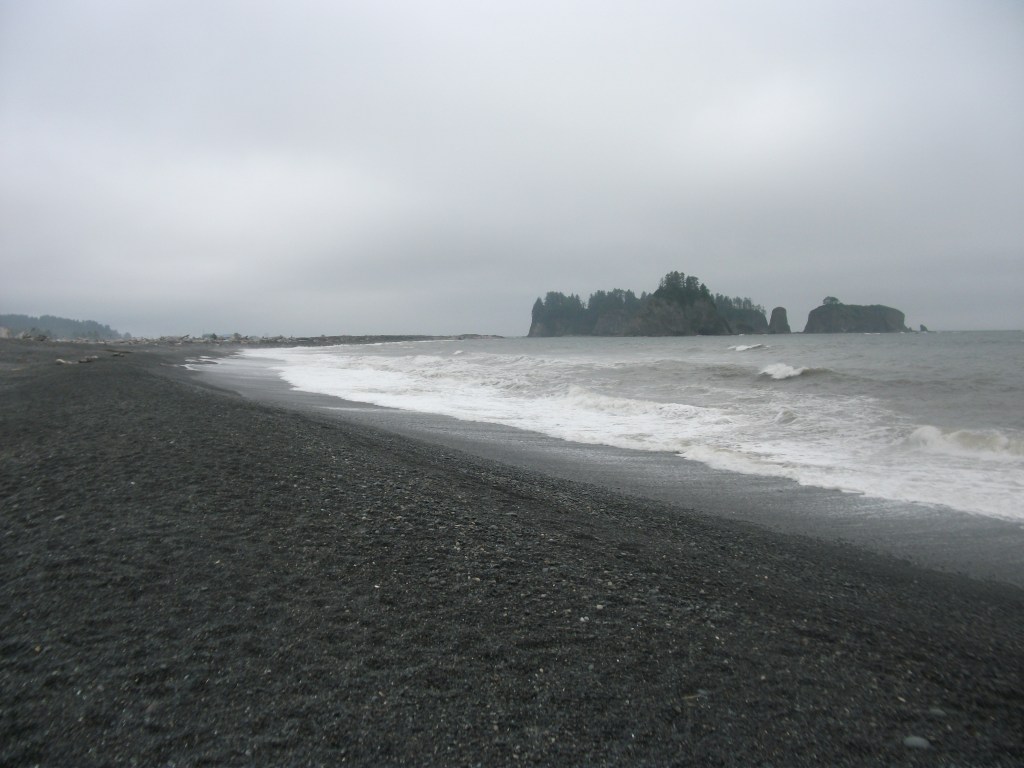 DSCF2319