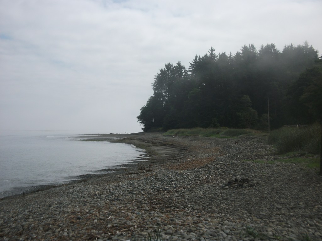 DSCF2288