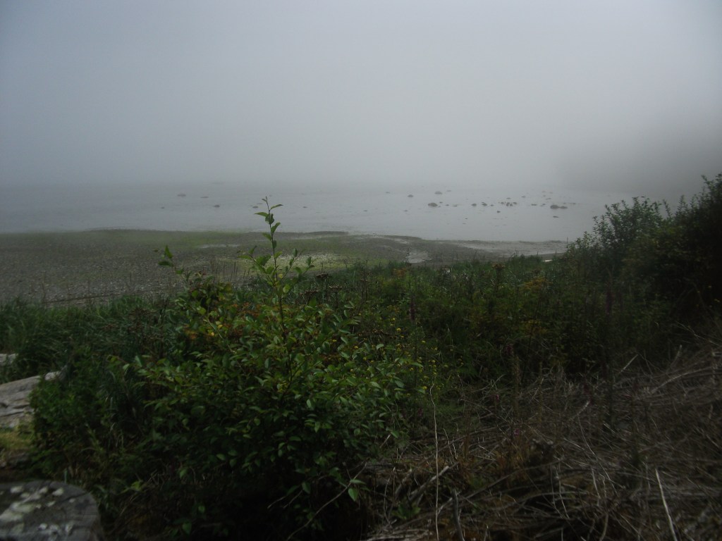 DSCF2299